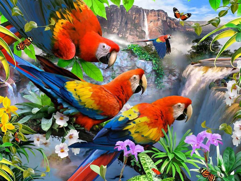 PUZZLE 3D Skládačka Papoušci set 500 dílků 61x46cm v krabici - obrázek 2