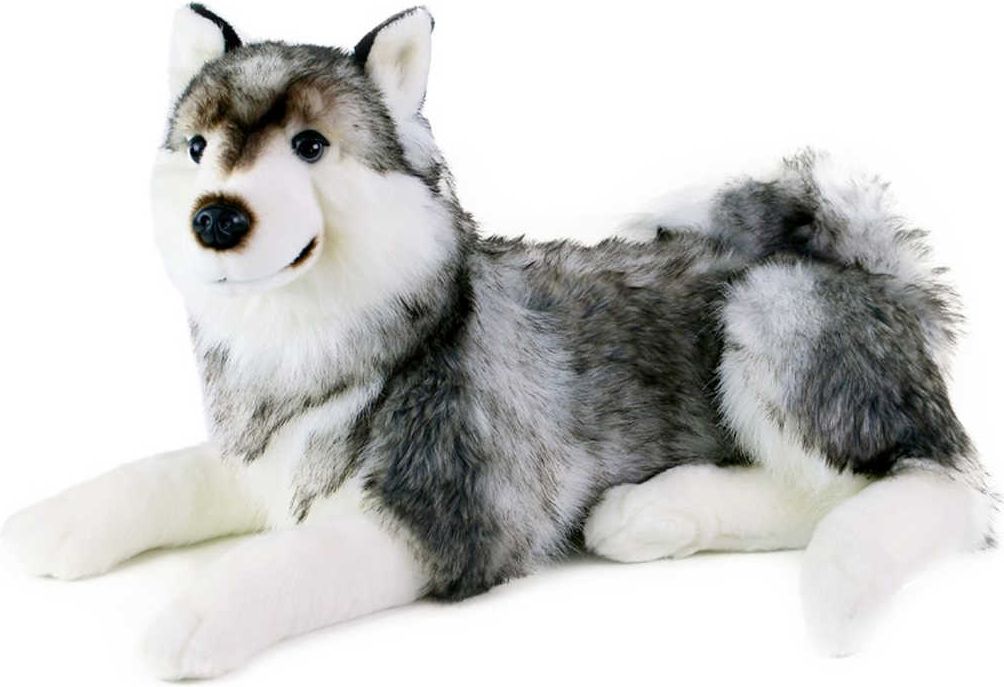 PLYŠ Pes Husky 50cm ležící *PLYŠOVÉ HRAČKY* - obrázek 1