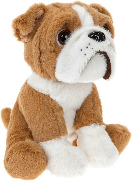 PLYŠ Pes bulldog sedící 16cm *PLYŠOVÉ HRAČKY* - obrázek 1