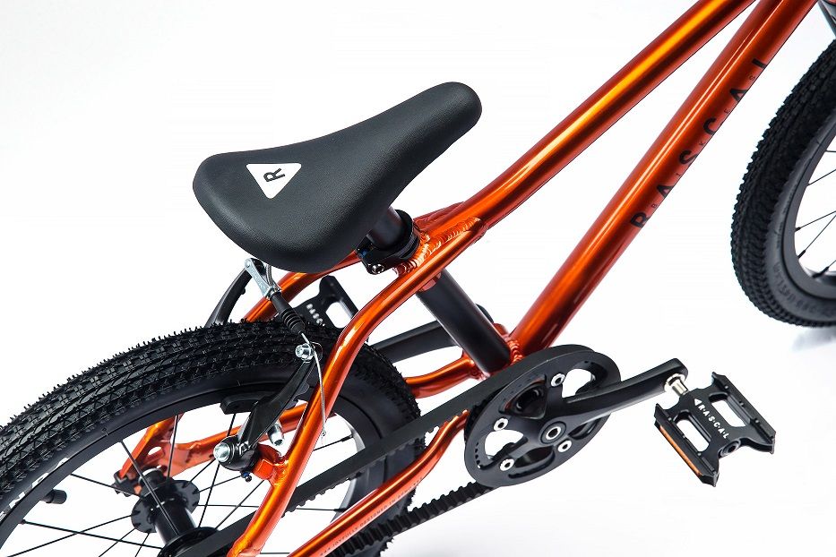 Rascal Bikes 16" titanová - obrázek 4