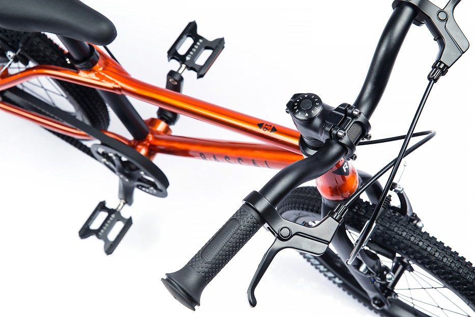 Rascal Bikes 16" titanová - obrázek 5