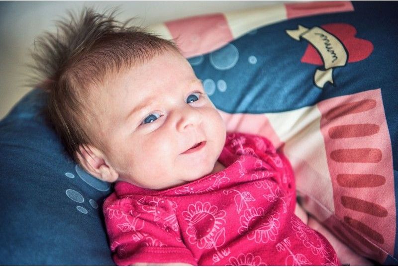 Baby Bites multifunkční polštář Whale - obrázek 5
