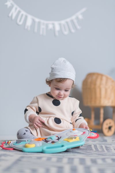 Taf Toys Hrací pult Severní pól - obrázek 3