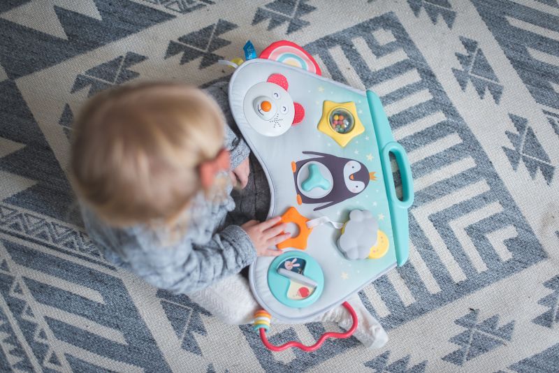 Taf Toys Hrací pult Severní pól - obrázek 7