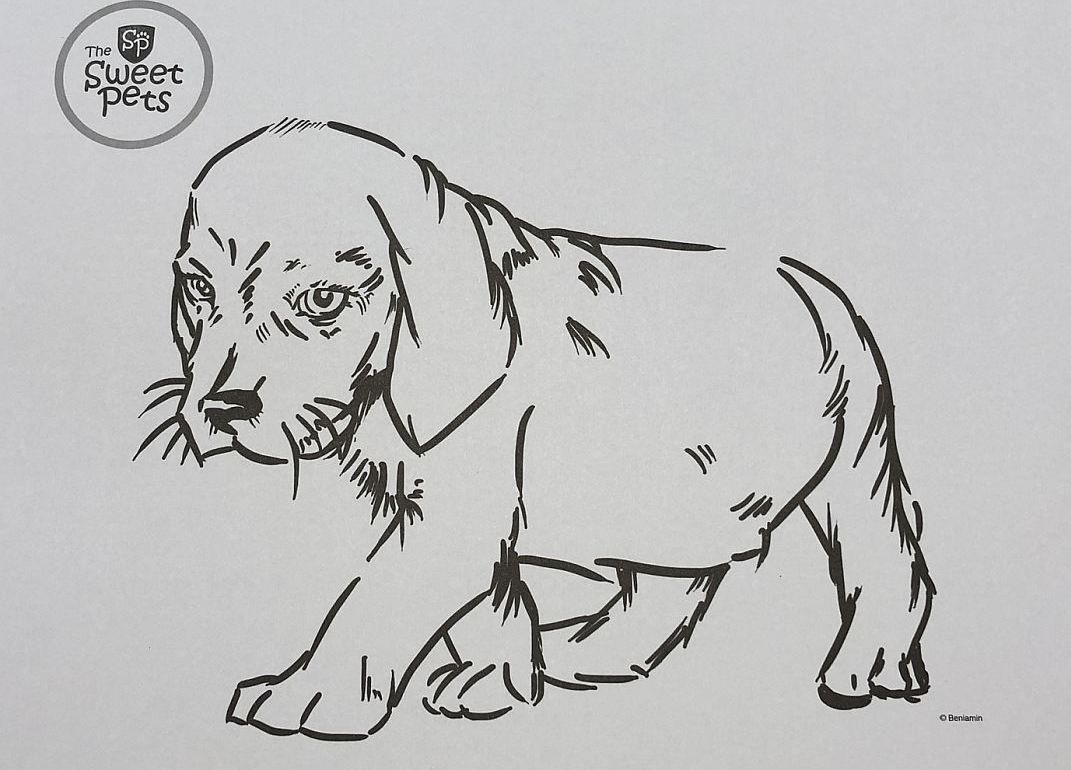 BENIAMIN  Blok na kreslení s omalovánkami Sweet Pets Pejsek - obrázek 2