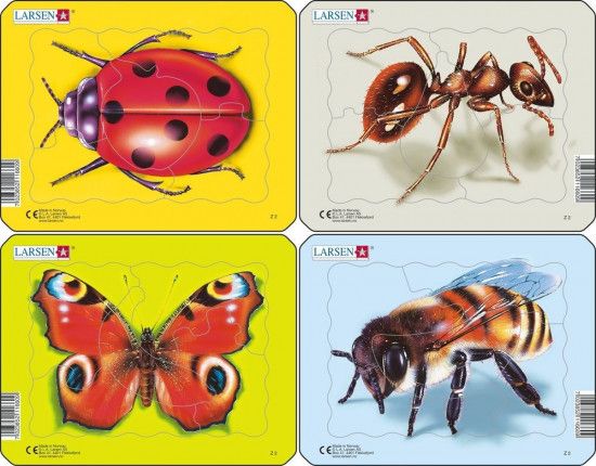 Puzzle beruška, motýl, mravenec, včela 5 dílků - obrázek 1