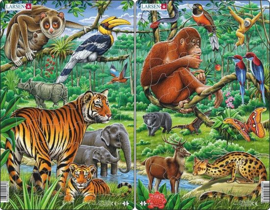 Puzzle Zvířata v Indii a Asii 29 dílků - obrázek 1