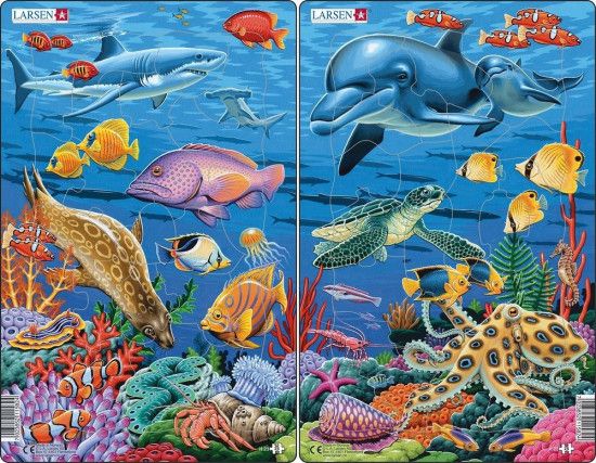 Puzzle Mořský život 25 dílků - obrázek 1
