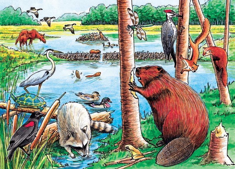 Cobble Hill Frame Puzzle - Beaver Pond Tray Puzzle - obrázek 1