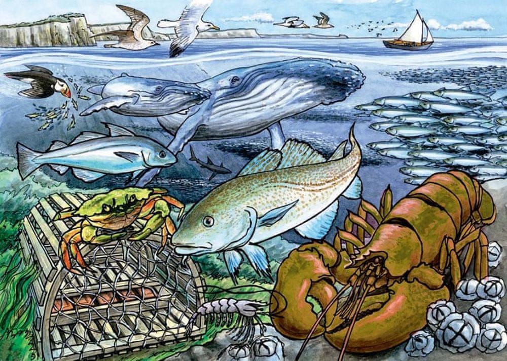 Cobble Hill Frame Puzzle - Life in the Atlantic Ocean - obrázek 1