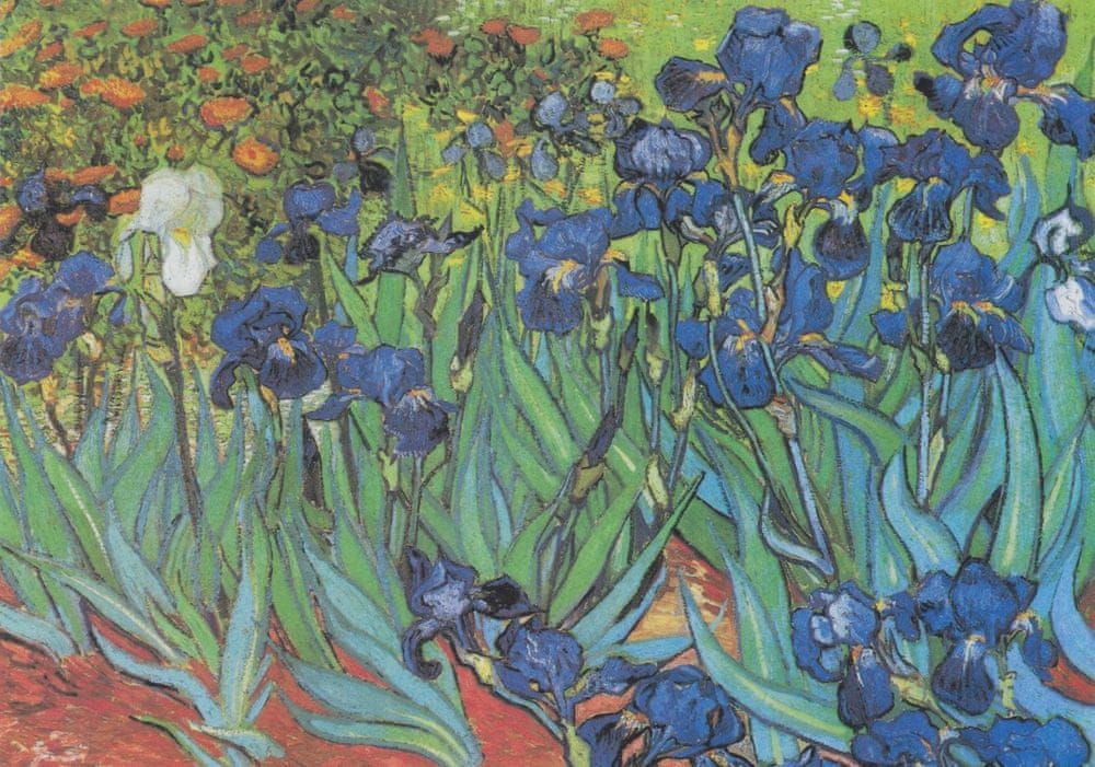 Grafika Puzzle 1000 dílků Vincent Van Gogh, 1889 - obrázek 1