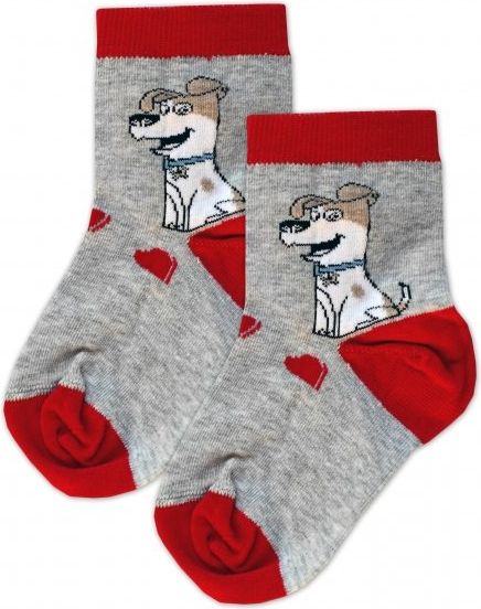 Baby Nellys Bavlněné ponožky pejsek - šedo/červené, vel. 15-16cm - obrázek 3