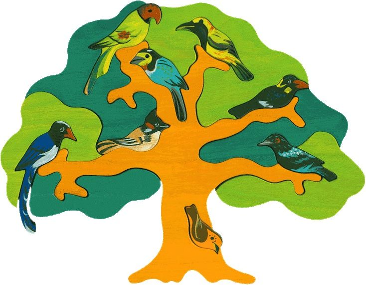 Fauna Trade Puzzle ptáci Asie - obrázek 1