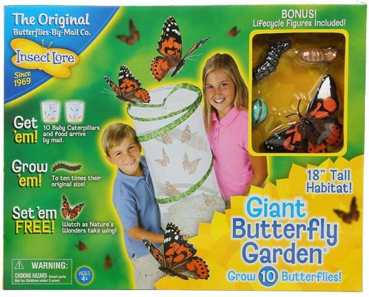 Insect Lore Velká motýlí zahrádka (6-10 housenek) - obrázek 1