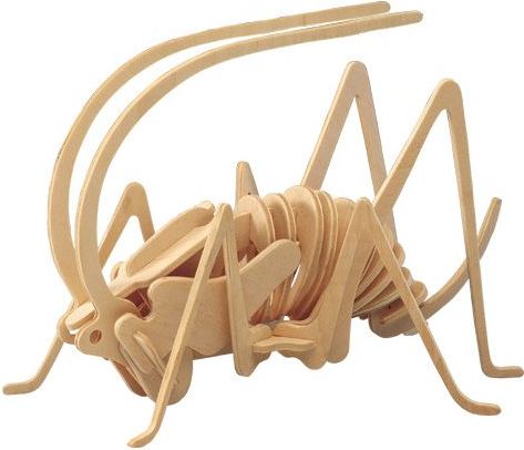 Woodcraft construction kit Woodcraft Dřevěné 3D puzzle cvrček - obrázek 1