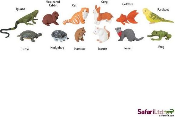 Safari Ltd - Tuba Domácí zvířata - obrázek 1