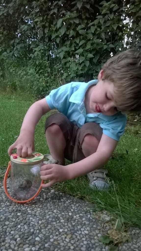 Bigjigs - Nádobka na pozorování hmyzu - obrázek 2