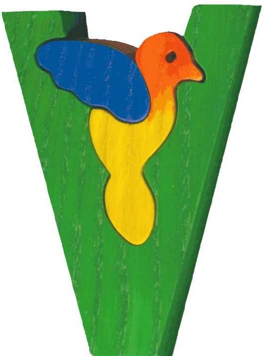 Fauna Abeceda písmeno V ptáček - obrázek 2