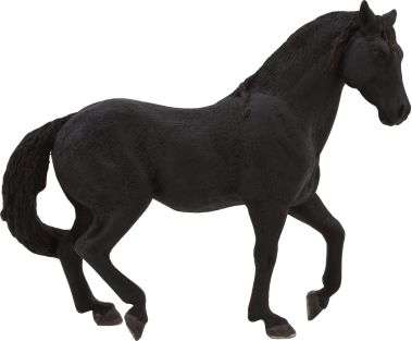Mojo Animal Planet Andaluský černý kůň - obrázek 1