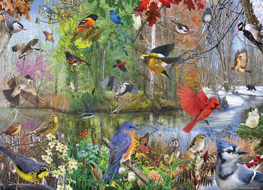 Cobble Hill Puzzle 1000 dílků Birds of the Season - obrázek 1