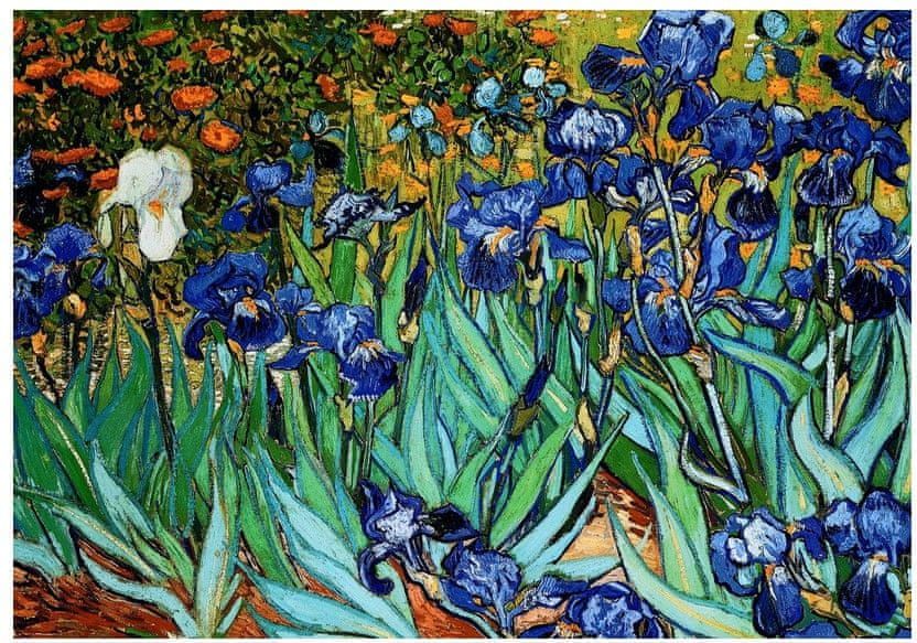 EuroGraphics Puzzle 1000 dílků Van Gogh : Les Iris - obrázek 1