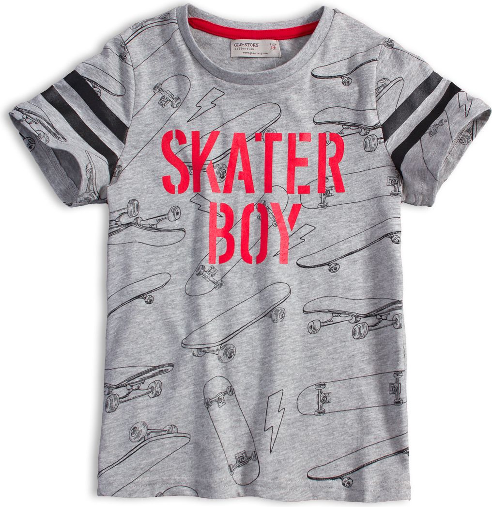 Chlapecké tričko GLO STORY SKATER BOY šedé Velikost: 164 - obrázek 1