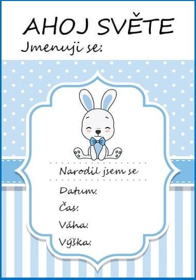 KidPro Milníkové kartičky Zajíček pro chlapečka - obrázek 1