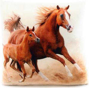 Polštářek 33 x 33 cm koně - obrázek 1