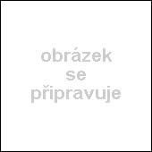 Hluboká korbička Nuna Mixx Granite 2020 - obrázek 1