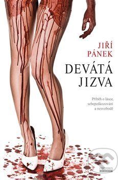Devátá jizva - Jiří Pánek - obrázek 1