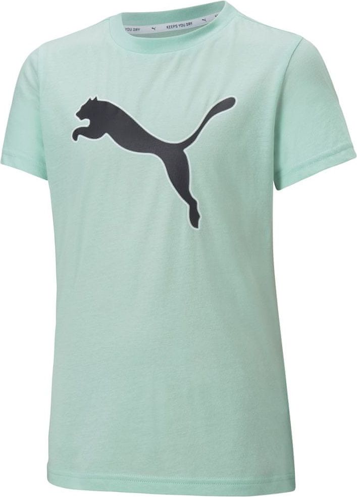 Puma dívčí tričko Modern Sports Logo Tee G Mist Green-puma 110 světle zelená - obrázek 1