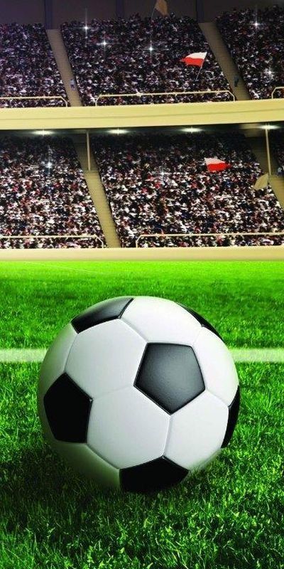 DETEXPOL Osuška Fotbalový míč Bavlna Froté, 70/140 cm - obrázek 1
