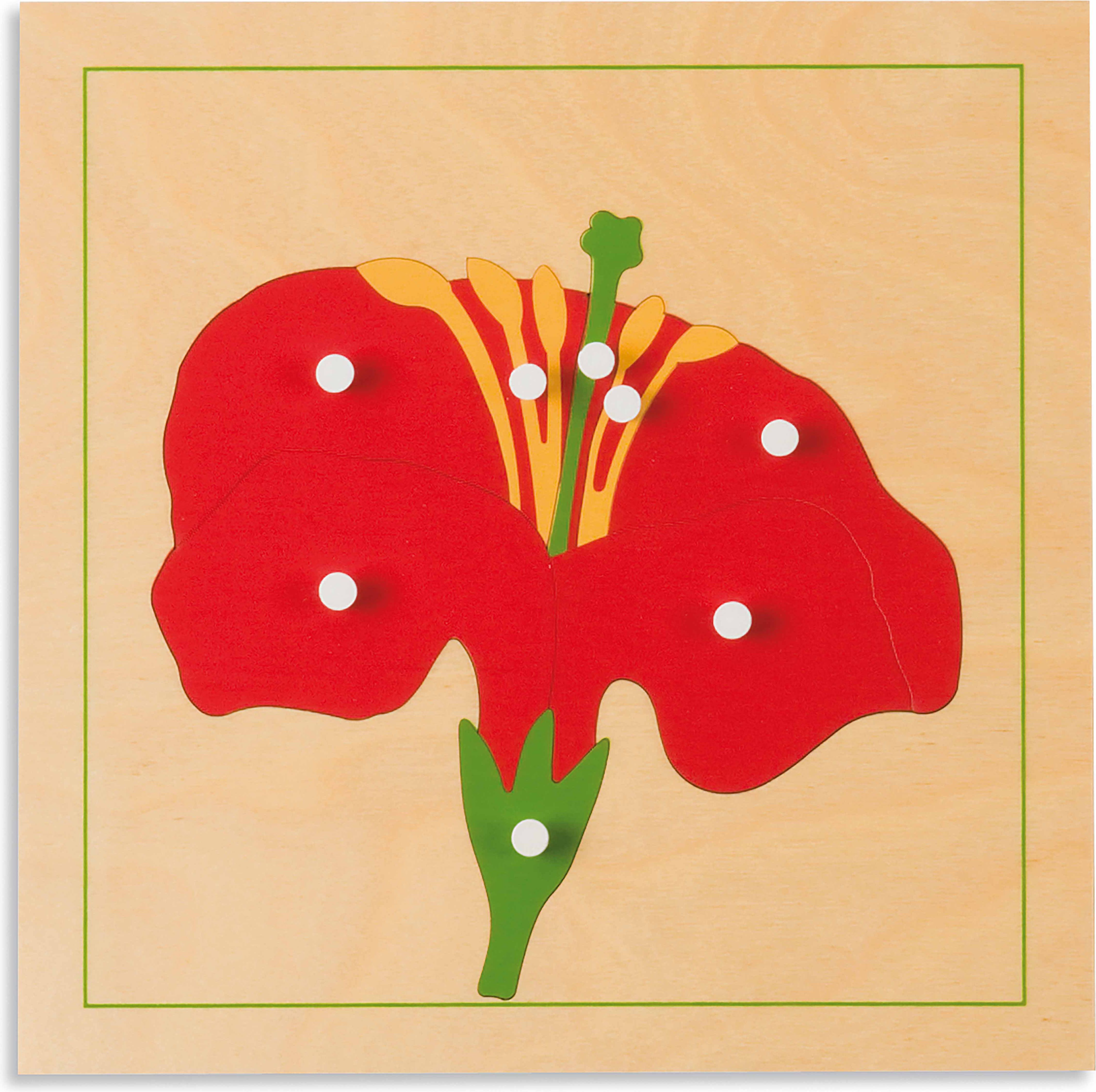 Nienhuis Montessori Botanické Puzzle - Květ - obrázek 1