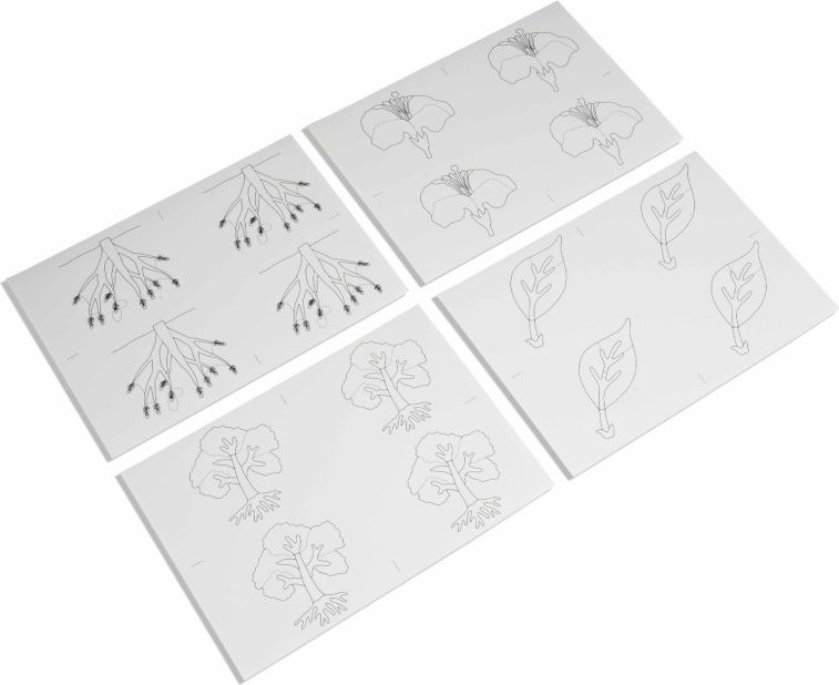 Nienhuis Montessori Botanické Puzzle: Úkolové karty - obrázek 1