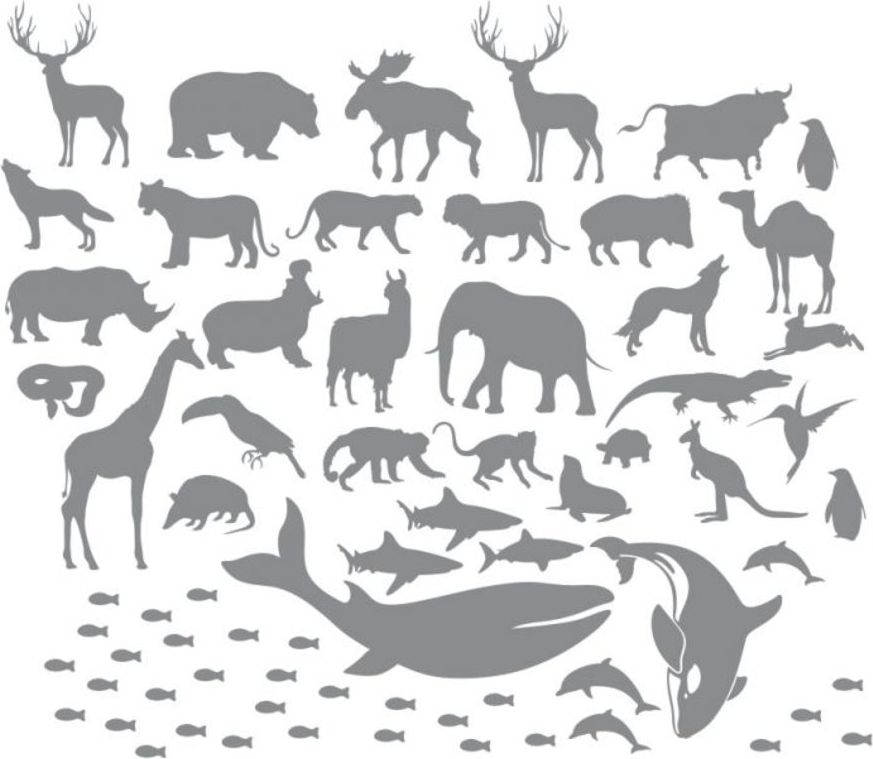 Samolepka na zeď Dekornik Mapa V 16388-0, 180x107 cm - obrázek 5