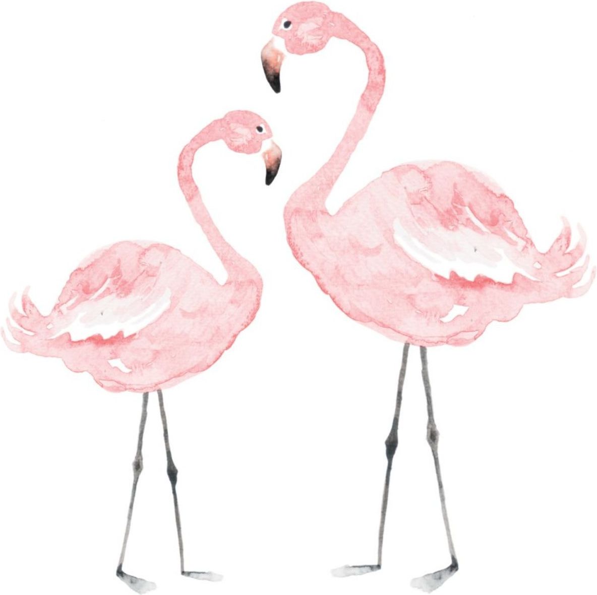 Samolepka na zeď Dekornik Flamingo 16976-0, 55x55 cm - obrázek 4