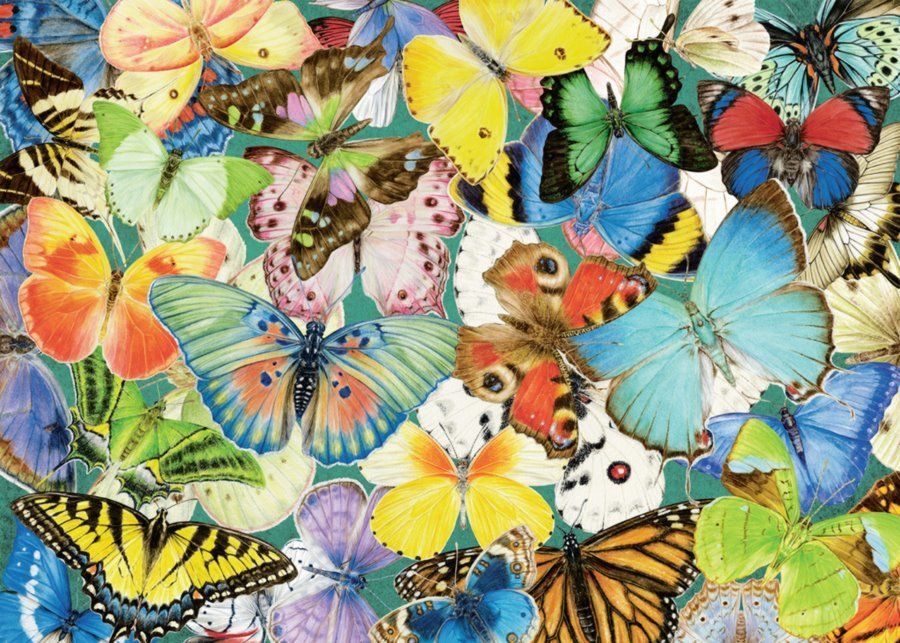 RAVENSBURGER Puzzle Motýli XXL 500 dílků - obrázek 1
