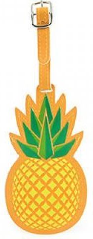 Jmenovka ananas - obrázek 1