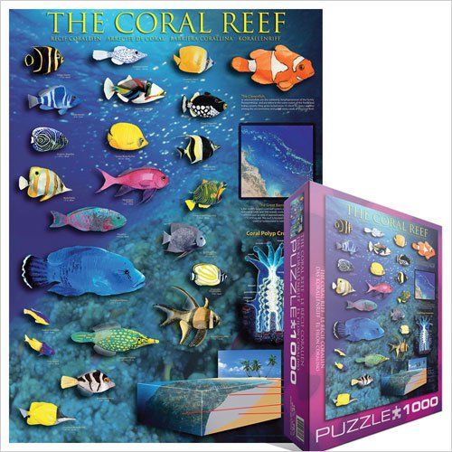 Puzzle EuroGraphics Korálový útes 1000 - obrázek 1