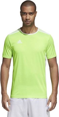 Adidas Dětský dres , Entrada 18 Jersey | Zelená | 128 - obrázek 1