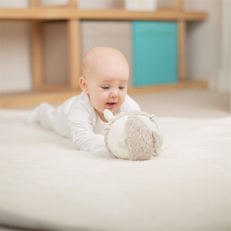 Bigjigs Toys Chrastítko aktivní míč Bigjigs Baby Medvídek - obrázek 2