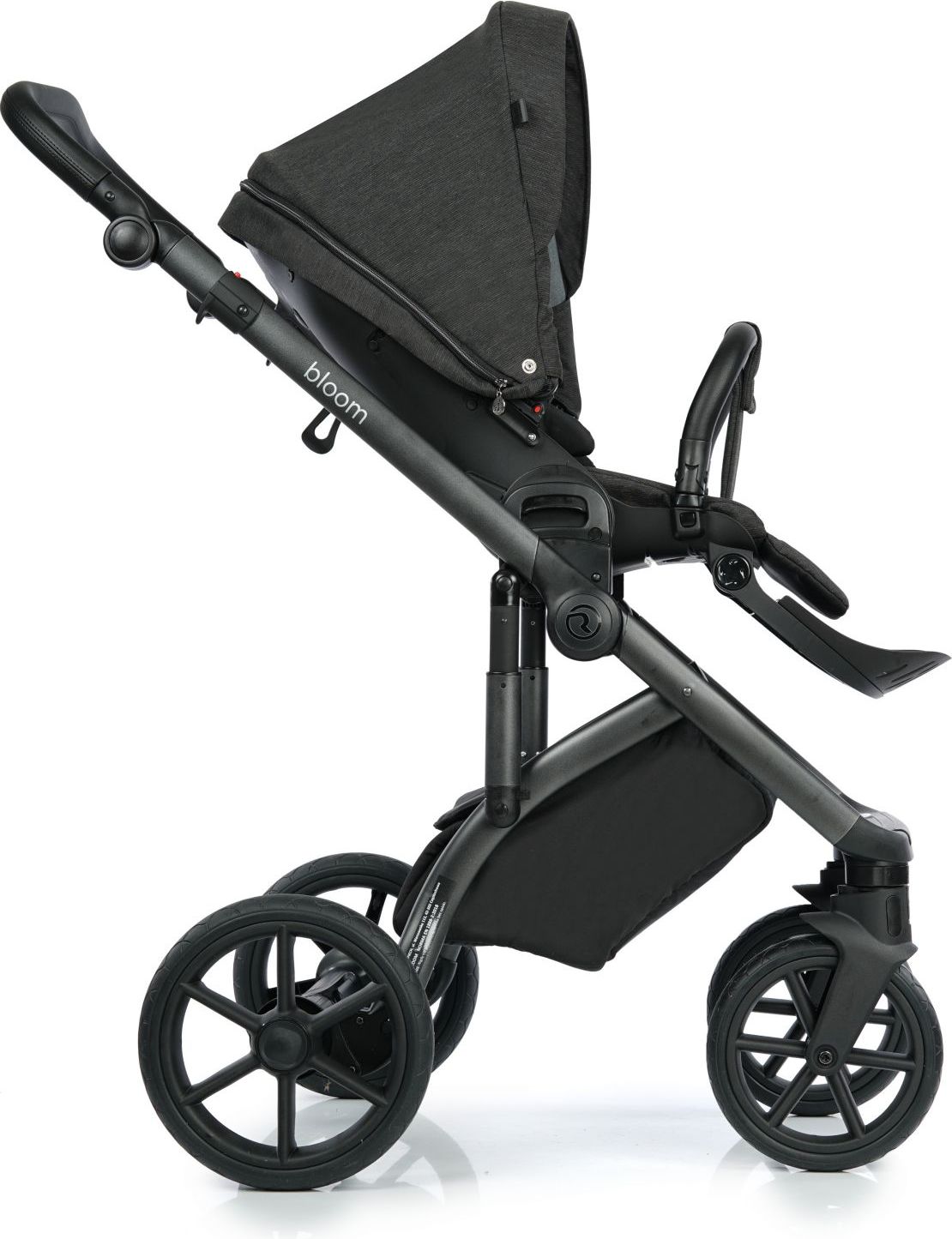 Roan Bloom - Black Stripes - obrázek 2