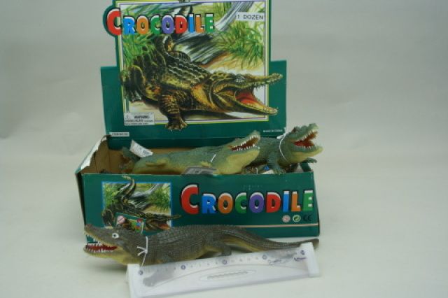 Krokodýl - obrázek 1