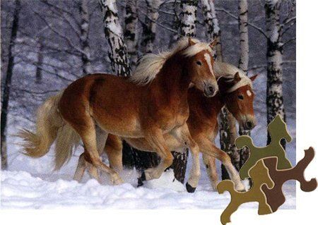 D-Toys Puzzle Kouzlo koní: Haflingové v zimě 239 dílků - obrázek 1