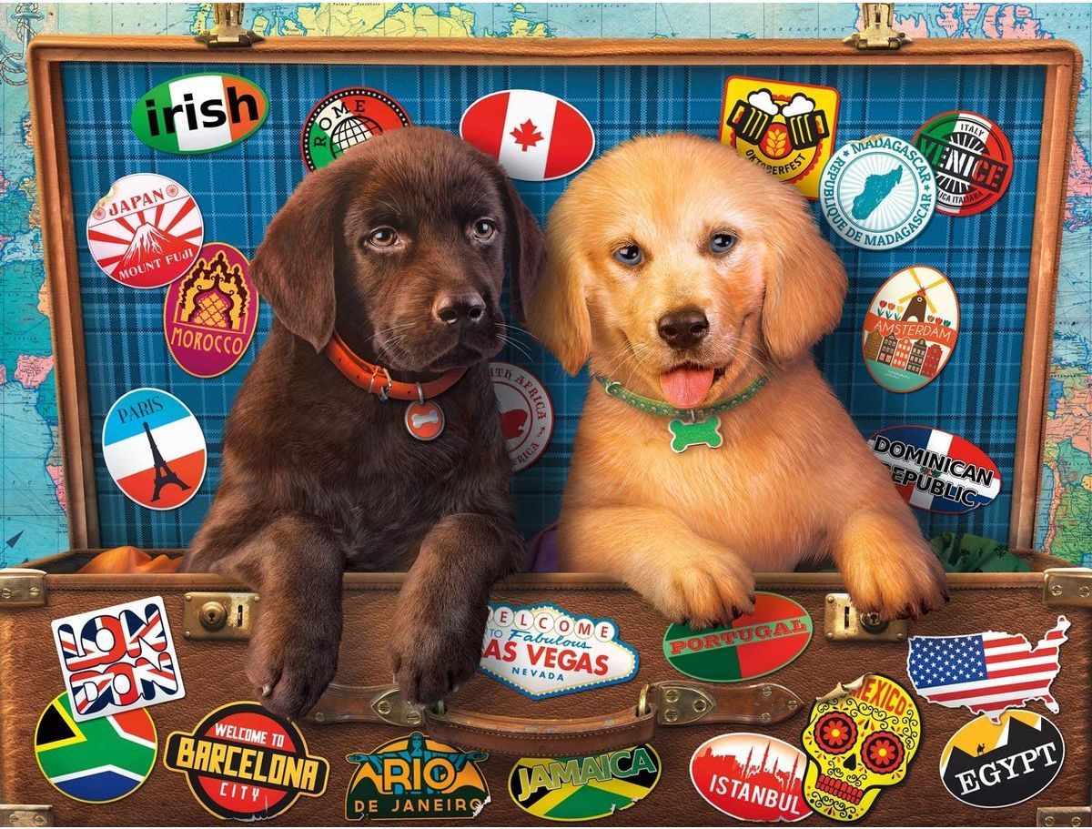 Castorland Puzzle 300 dílků Štěnata Labradorů v kufru - obrázek 1