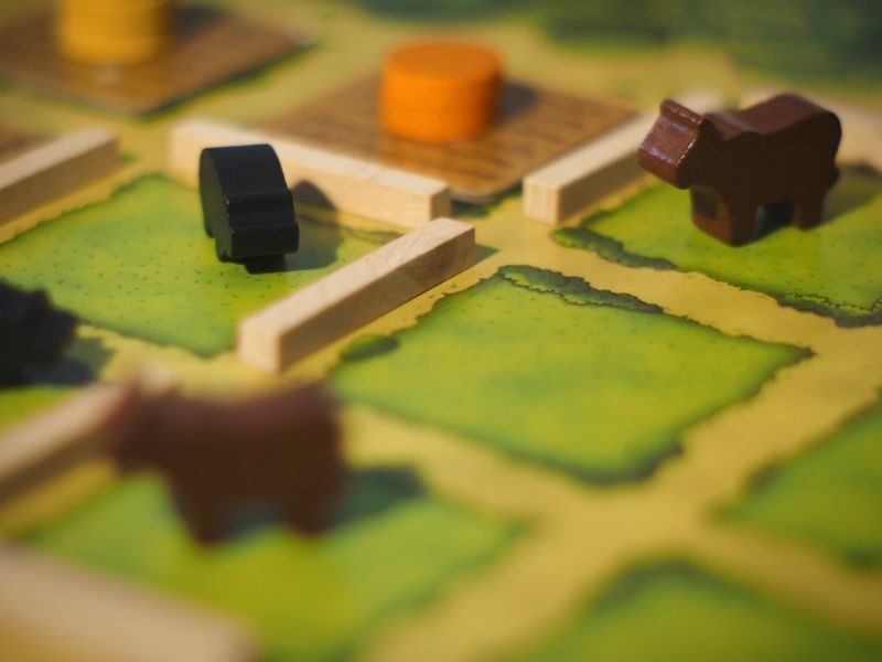 Mayfair Games Agricola - obrázek 4
