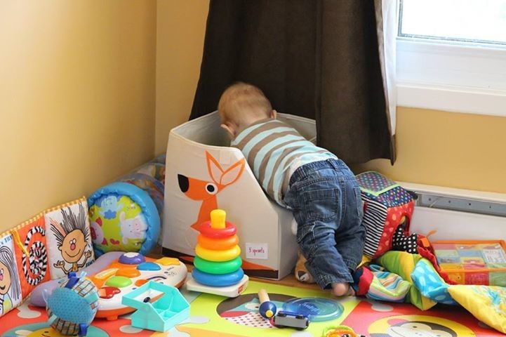 3 SPROUTS STORAGE BIN - KOŠ NA HRAČKY - SLEPICE - obrázek 3