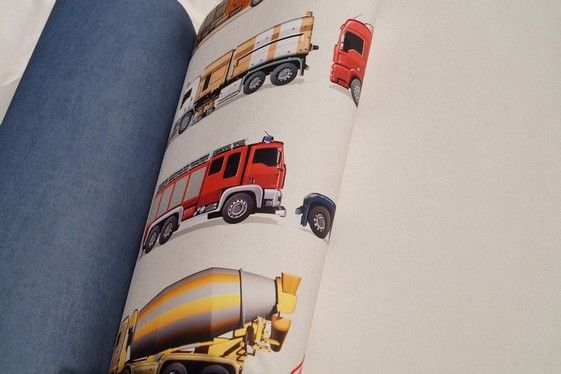 DĚTSKÁ PAPÍROVÁ TAPETA RASCH BAMBINO/KIDS & TEENS 247480 - obrázek 9