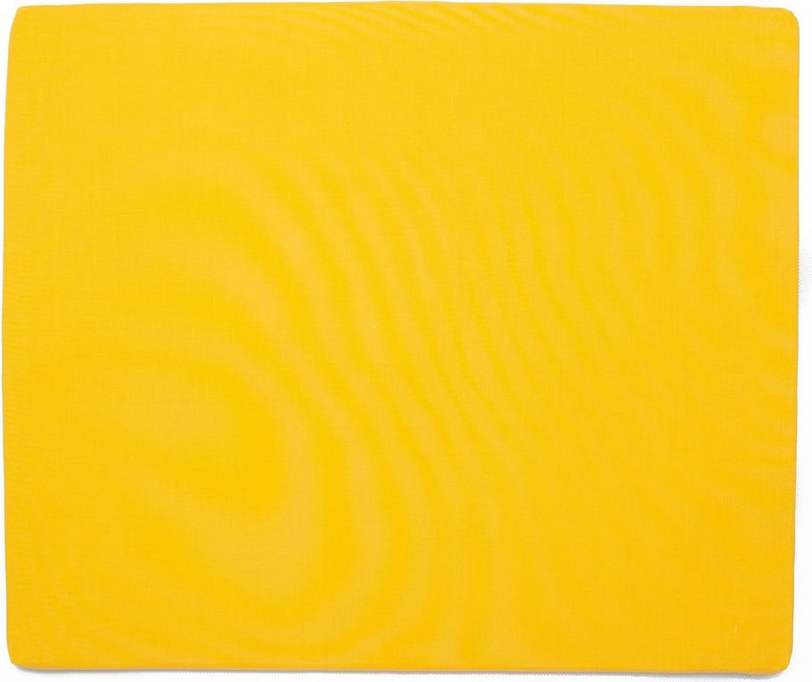 OCHRANNÝ PANEL NA ZEĎ SYTĚ ŽLUTÝ - obrázek 2