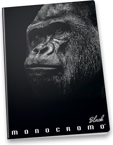 Pigna Školní sešit Monocromo Black A5, linkovaný, 100 - obrázek 1